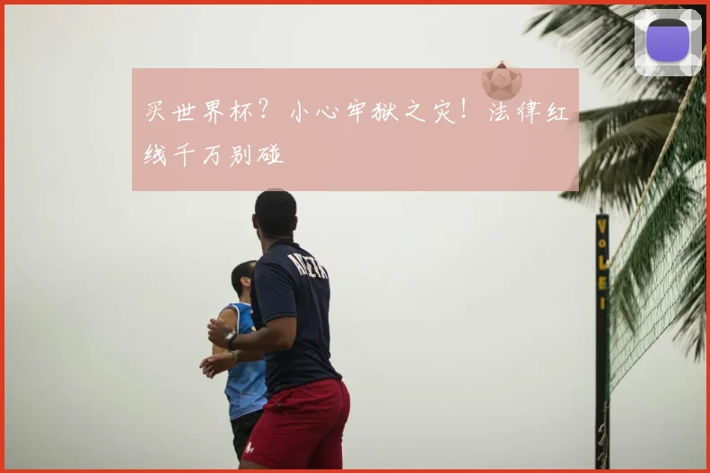 买世界杯？小心牢狱之灾！法律红线千万别碰