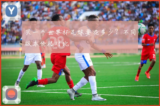 买一个世界杯足球要花多少？不同版本价格对比
