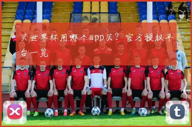 买世界杯用哪个app买？官方授权平台一览