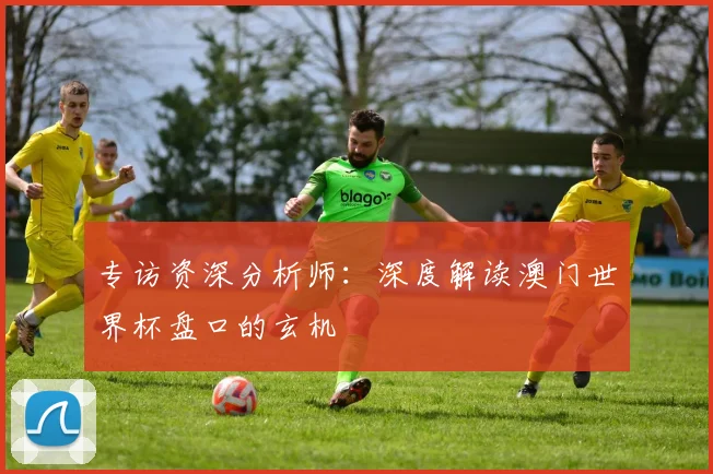 专访资深分析师:深度解读澳门世界杯盘口的玄机