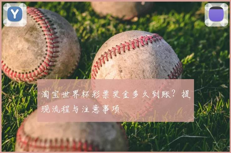 淘宝世界杯彩票奖金多久到账？提现流程与注意事项