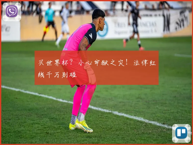 买世界杯？小心牢狱之灾！法律红线千万别碰