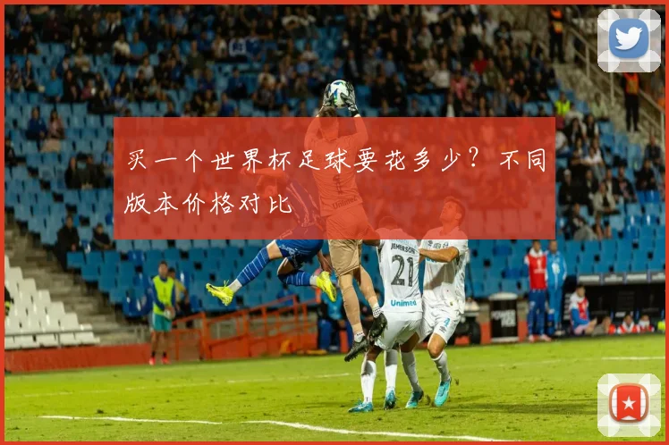 买一个世界杯足球要花多少？不同版本价格对比