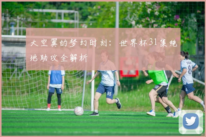 大空翼的梦幻时刻：世界杯31集绝地助攻全解析