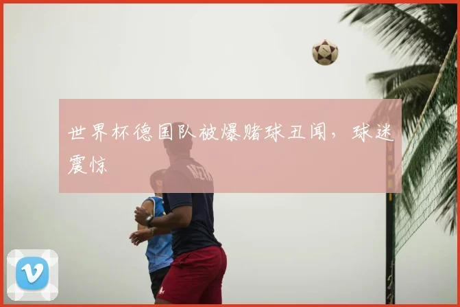 世界杯德国队被爆赌球丑闻，球迷震惊